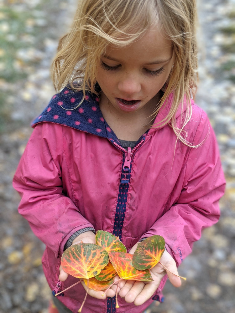 Why We Do What We Do: A Mission Rooted in Love and Regeneration